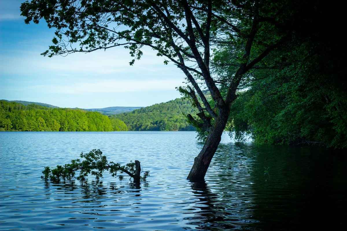 Blue lakeside house with rolling Irish hills and trees in the background.